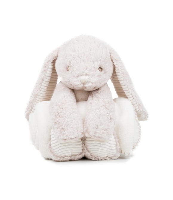 Rabbit and blanket