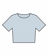 Women’s heavyweight washed cropped tee