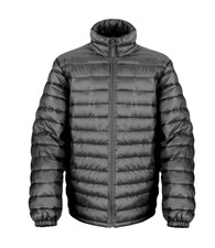 Ice bird padded jacket