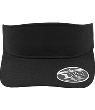 110 visor (8110)
